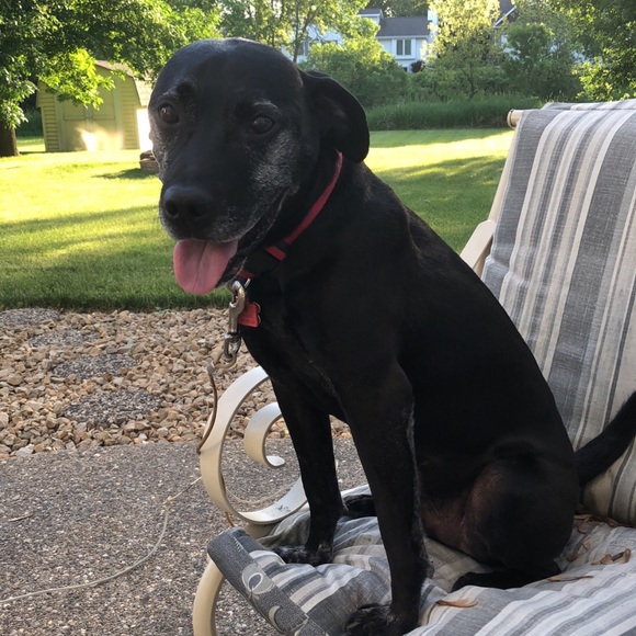 Meet your Posher, Vicky - Picture 1 of 1